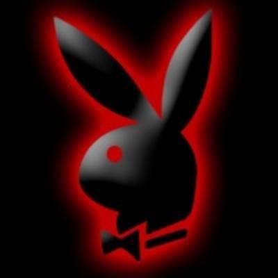 lapin